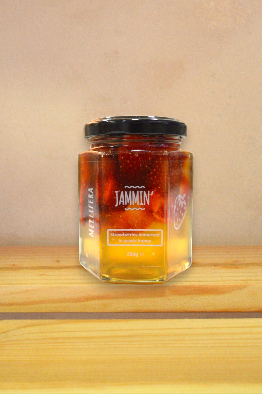 Akacijev med z liofiliziranimi jagodami