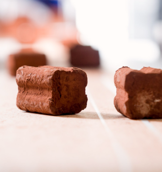 Veganski čokoladni truflji z datlji, kokosom in mandlji