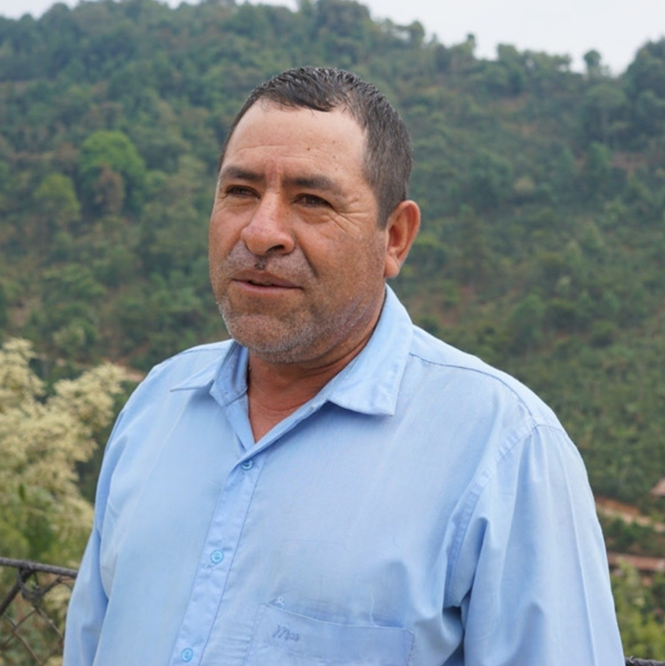 Specialty kava Gvatemala La Esperanza
