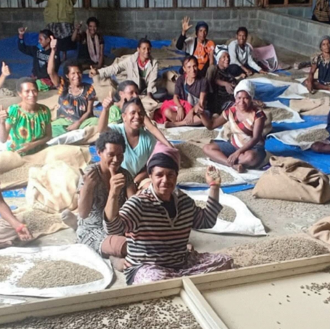 Specialty kava s poreklom Papua Nova Gvineja Madan Estate AX