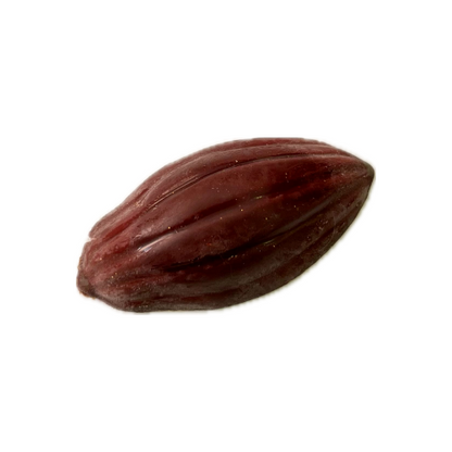 Praline XOCOC