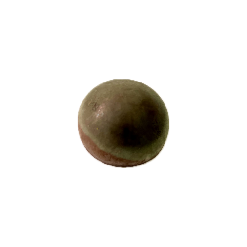 Praline XOCOC