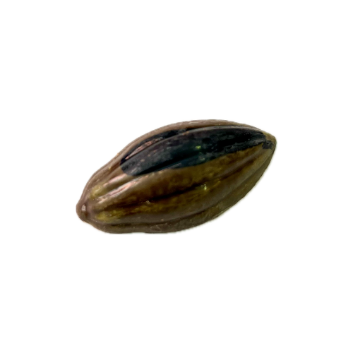 Praline XOCOC